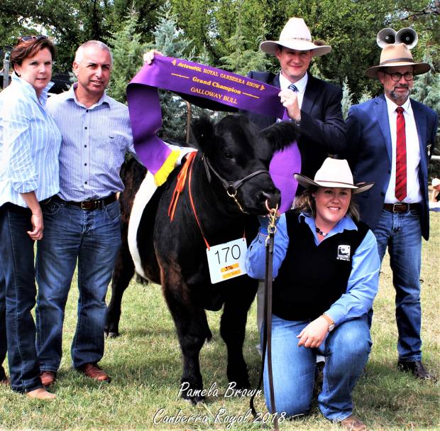 Supreme Champion at CANBERRA ROYAL 2018