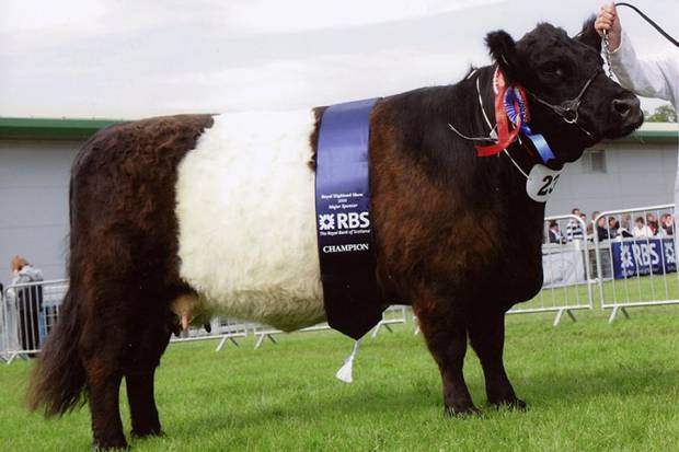 Dam - Mochrum Jadee, Supreme Champion RHS 2009