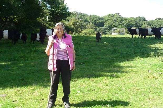 Herd Competition 2016