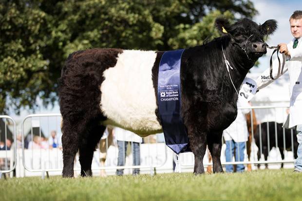Royal Highland Show 2018