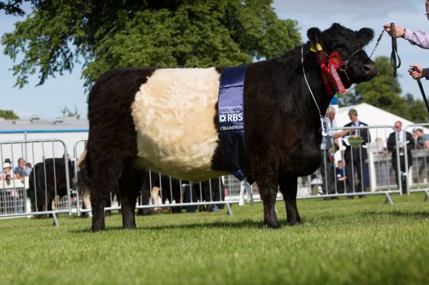 Royal Highland Show 2014