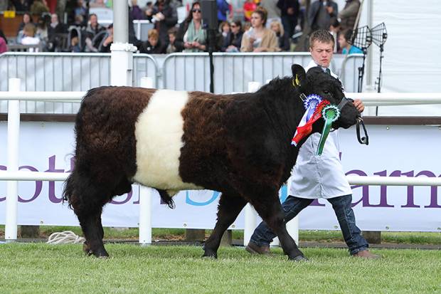 Royal Highland Show 2015