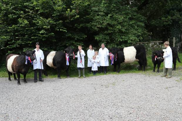 Looking Forward to 2015 Show Season