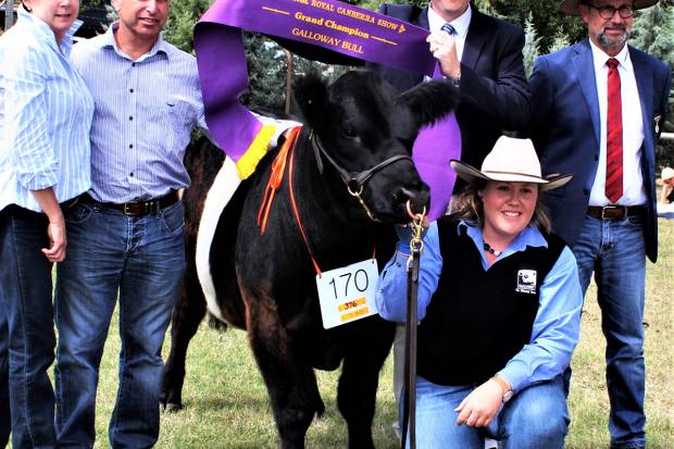 Supreme Champion at CANBERRA ROYAL 2018