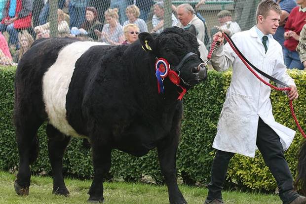 Great Yorkshire Show 2016
