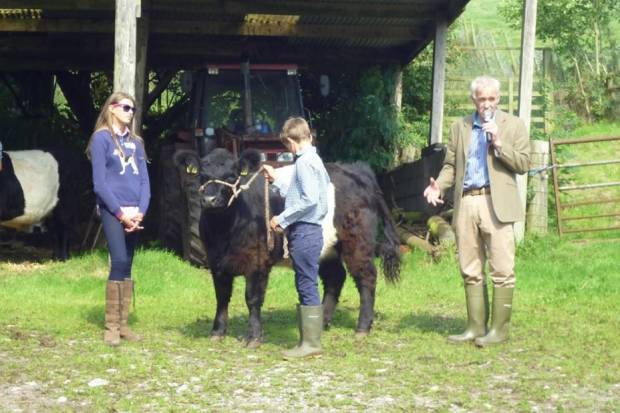 Scottish Belted Galloway Club Visit